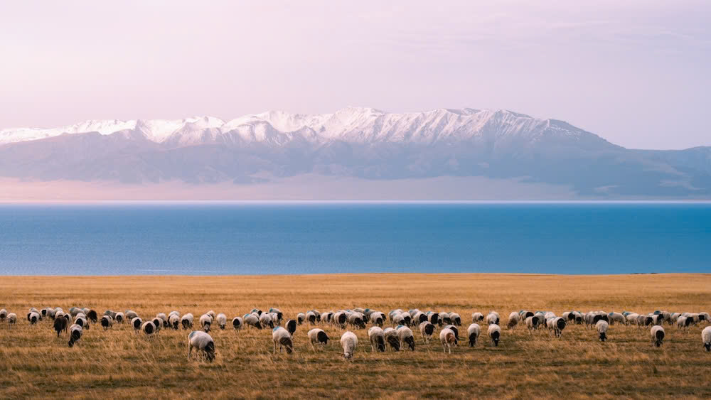 thao-nguyen-hoa-dai-ben-ho-sailimu