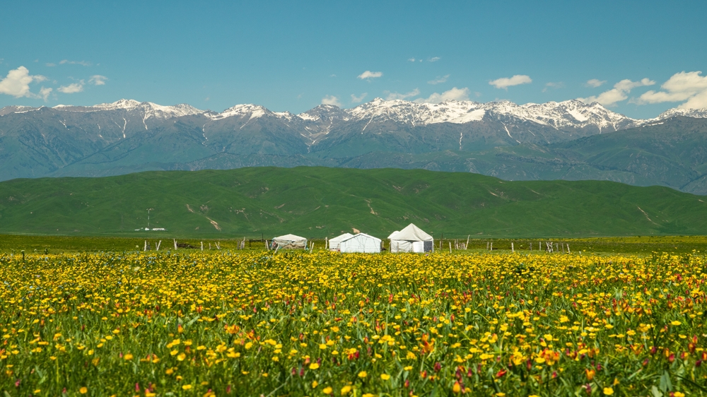 toan-canh-sac-mau-tan-cuong-diamondtour